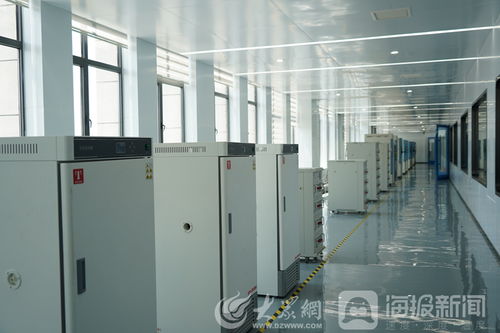打造北方锂电之都 走进枣庄市国家锂电池产品质量检验检测中心，探秘“室内环境检测”硬实力